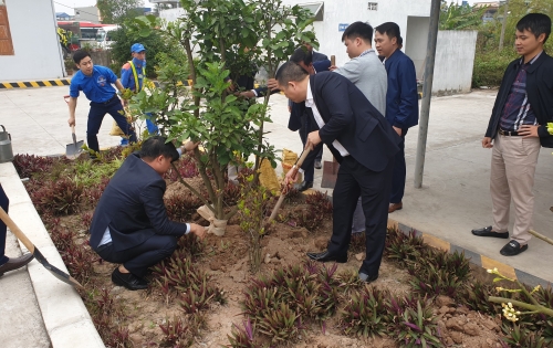 Lãnh đạo PVOIL Nam Định trồng cây và chúc Tết Cán bộ công nhân viên Công ty